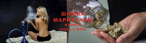 сатива Арсеньев