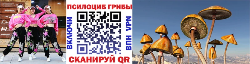 Псилоцибиновые грибы ЛСД  blacksprut как зайти  Богородск  закладки 